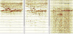 SeismicImages